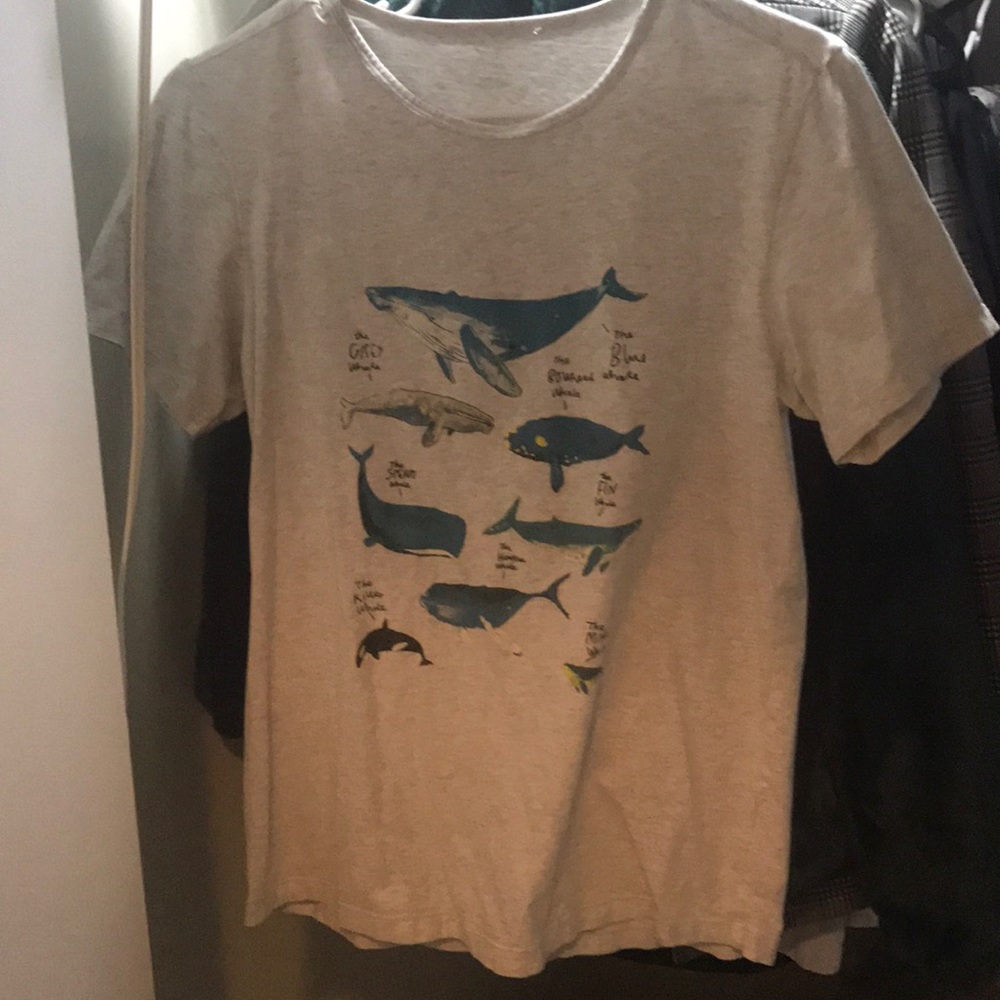 grey t shirt